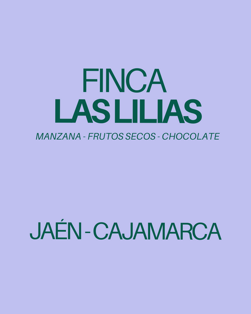 Las Lilias – Caturra