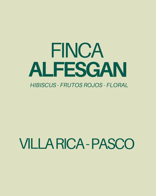 Alfesgan – Gesha